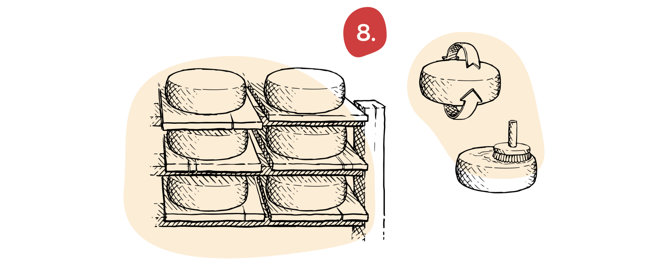 8_reifung_und_affinage_0e993ecc4c.png